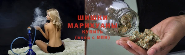 хмурый Лиски