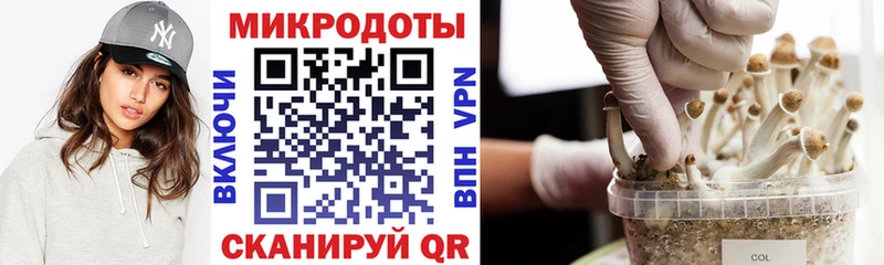 Купить  Сельцо  Галлюциногенные грибы GOLDEN TEACHER 